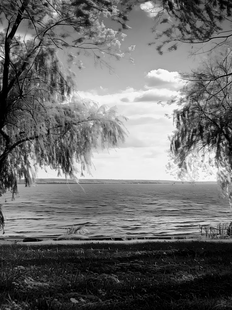 Black And White Photo 10