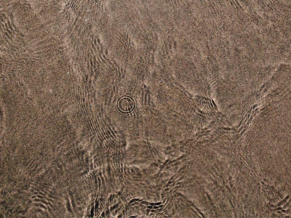 Coronado Gold Sand 2