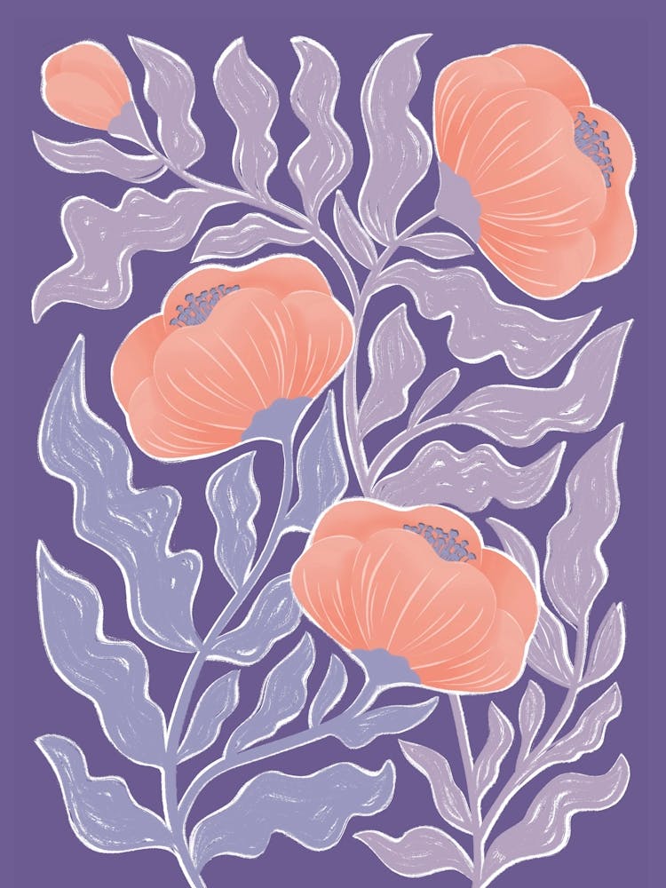 Purple Poppies
