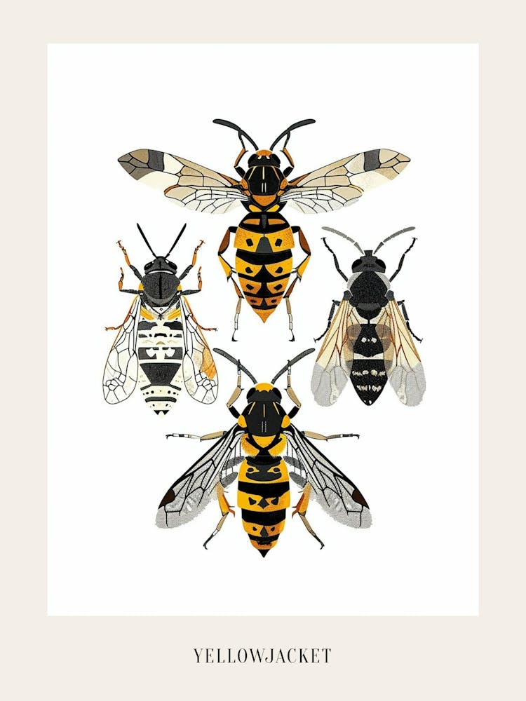 Colourful Insect Illustration Yellowjacket 6 Poster