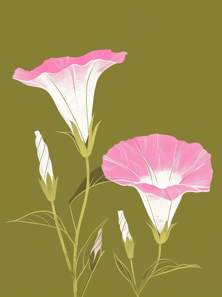 Pink & Green Morning Glory 1