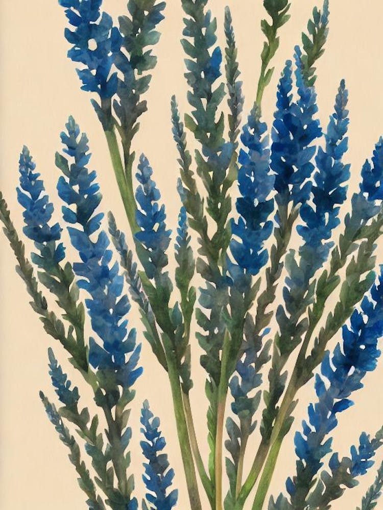 Acropora Hyacinthus Vintage Grafik Aquarell