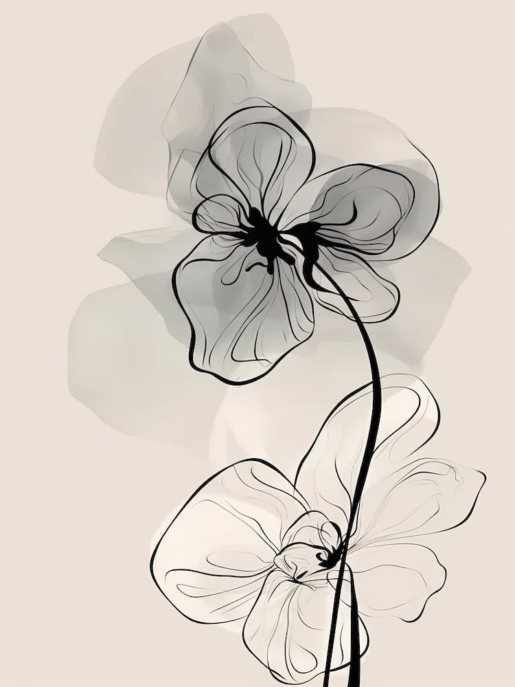 Line Art Orchids Flowers Illustration Neutral 7