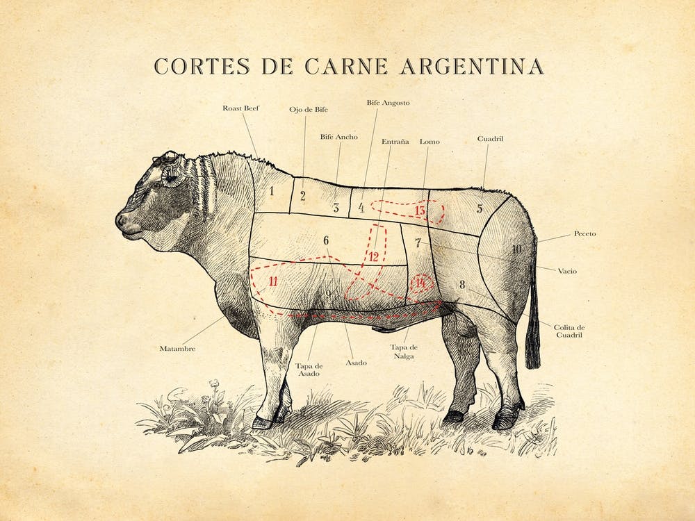 Argentinian Beef Cuts Chart