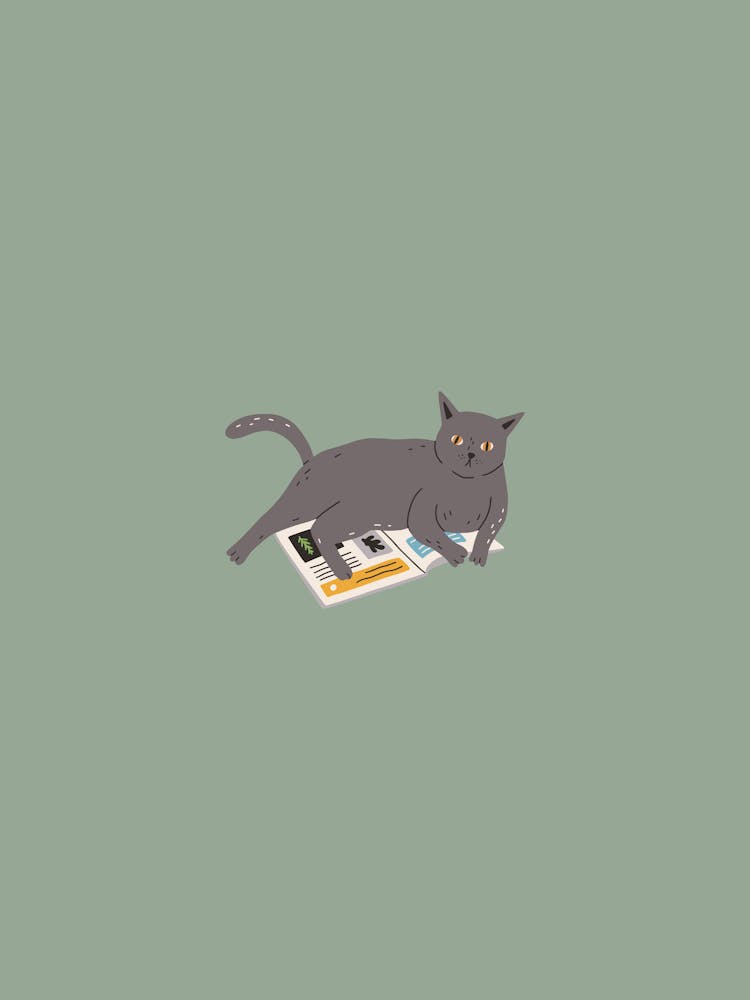 Cat Laying On Paper