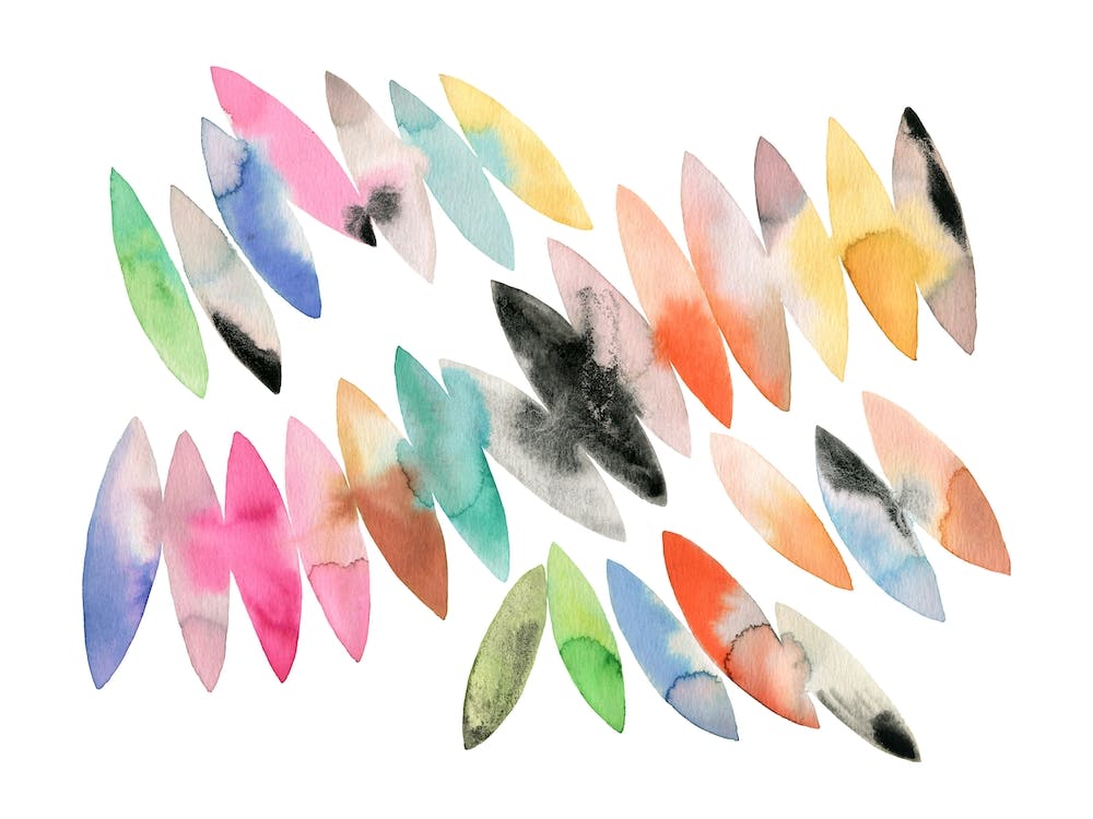 Seeds Colorful Abstract