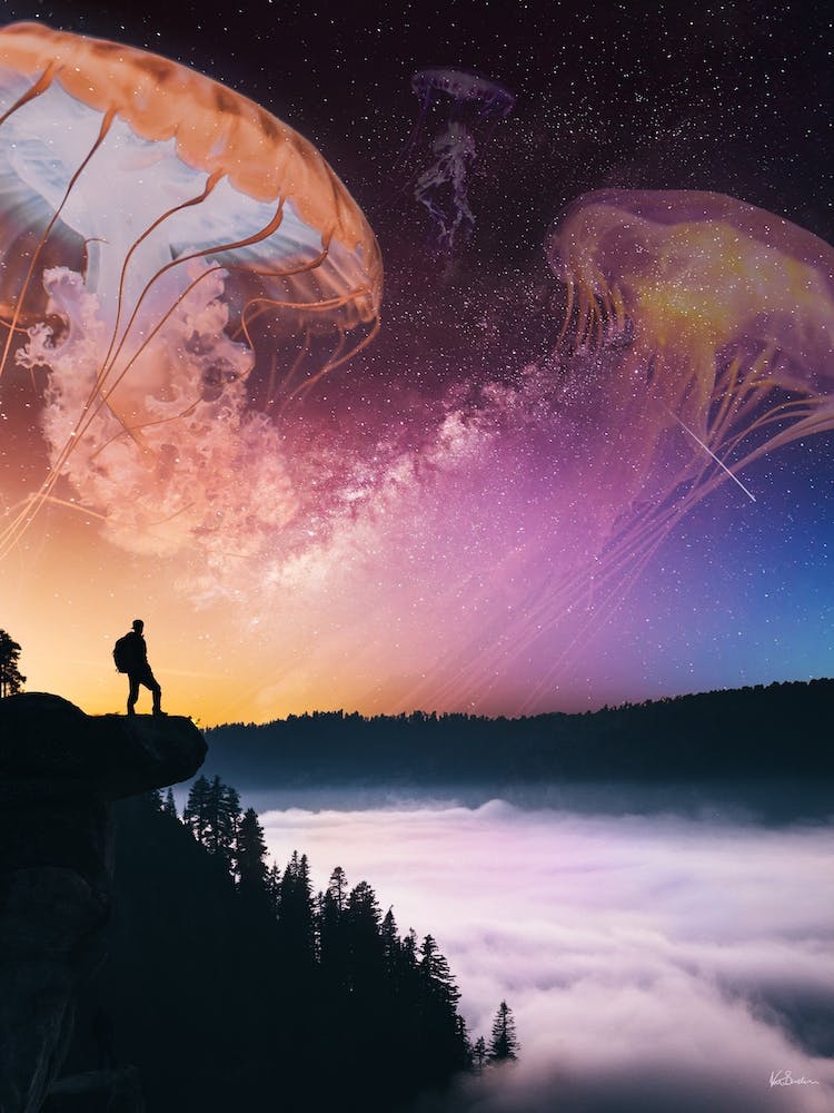 Kosmische Quallenansichten