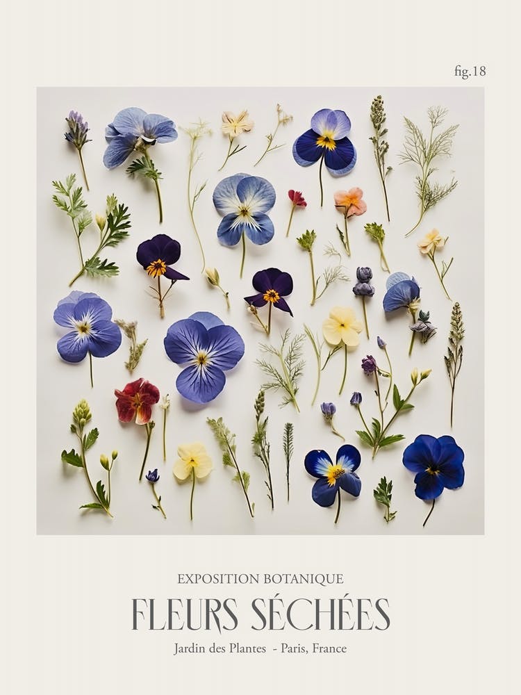 Fleurs Sechees, Dried Flowers Exhibition Poster 18