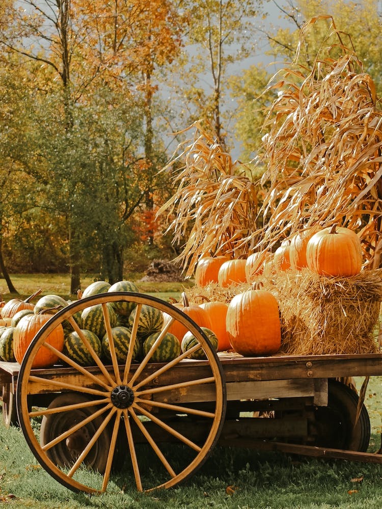Fall Farm Decor
