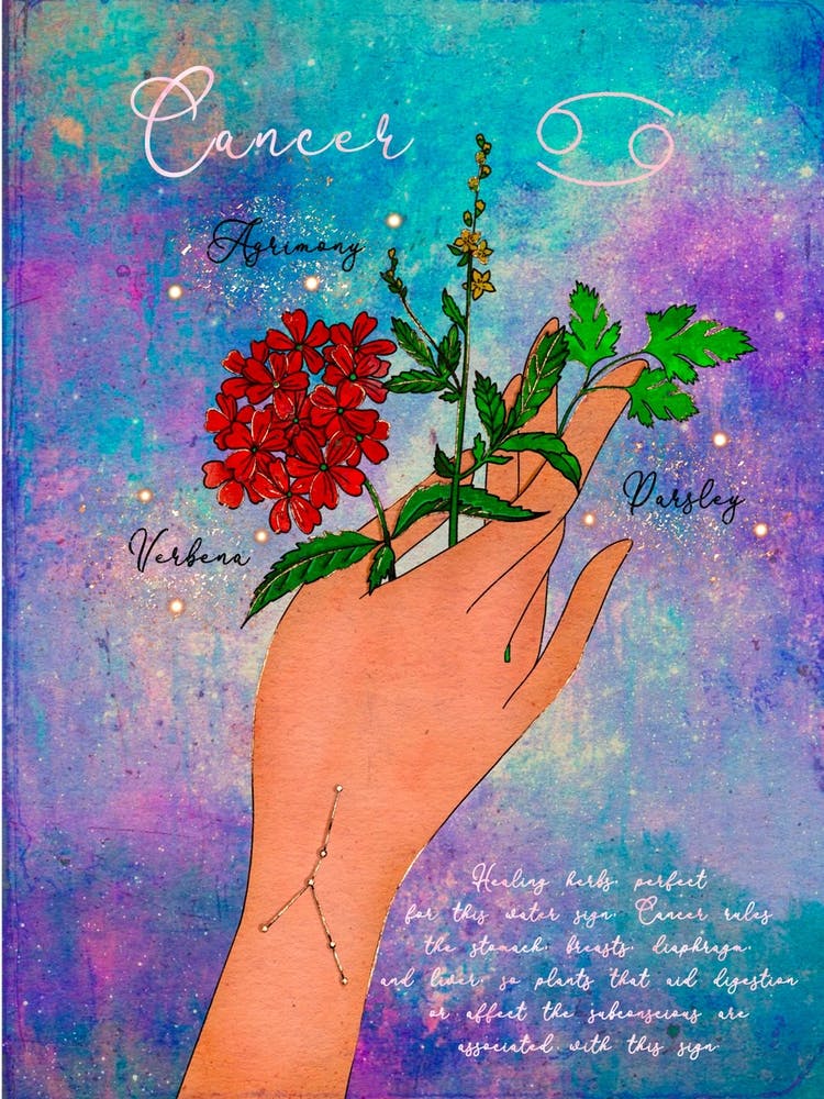 Cancer Healing Herbs