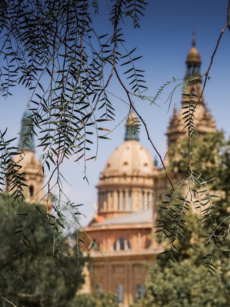 Cathedral Of Barcelona