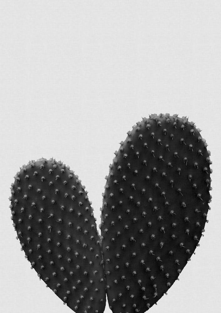Heart Cactus Black & White