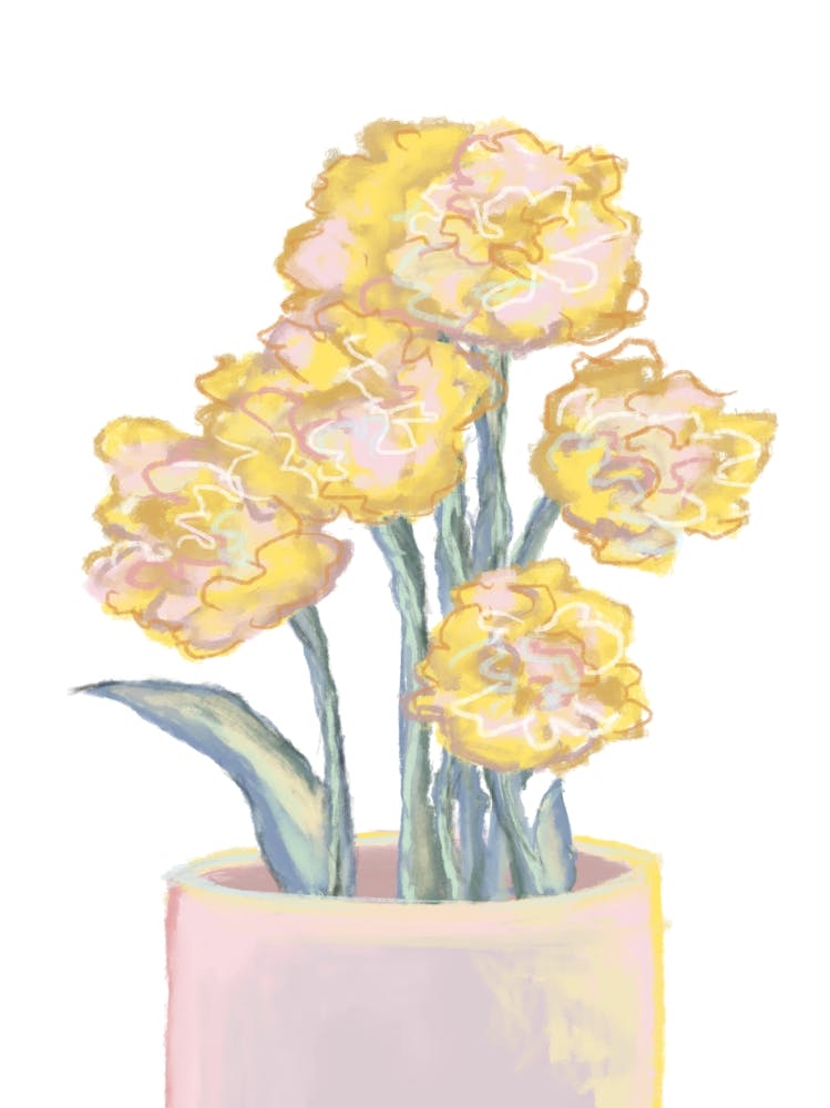 Yellow Bloom_2068117