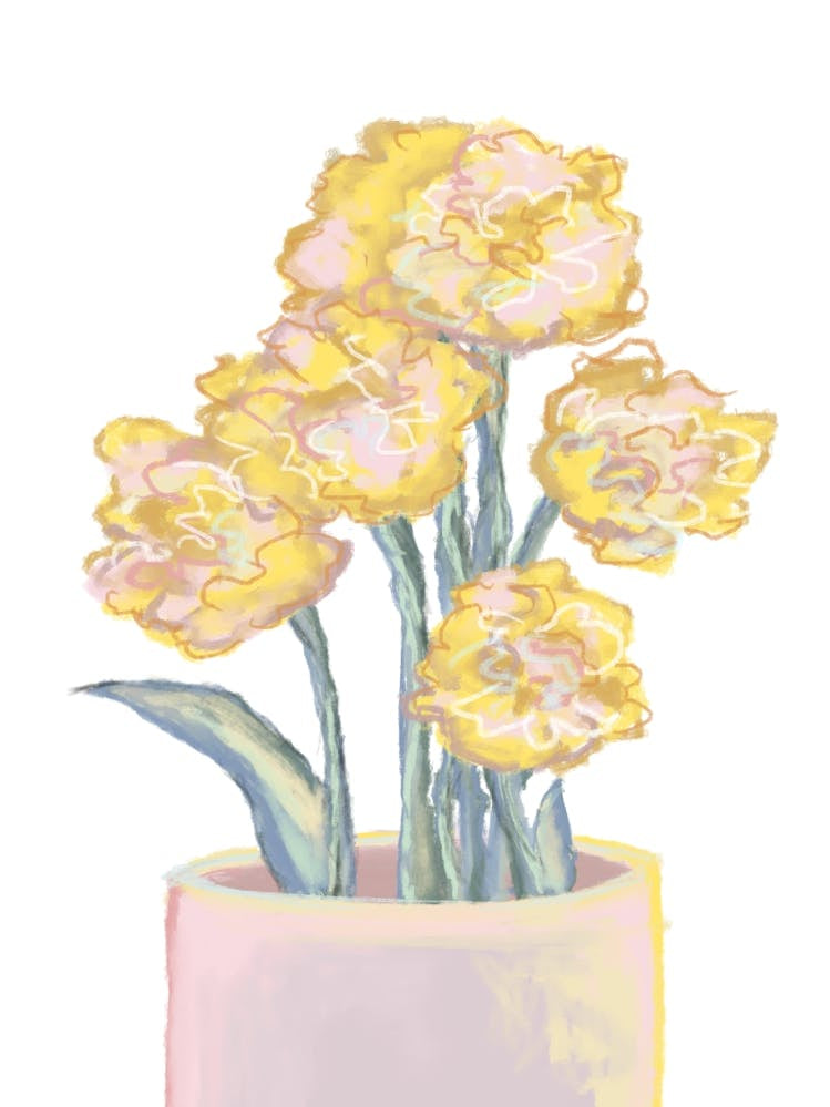 Yellow Bloom_2068117