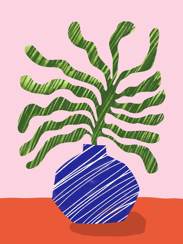 Still Life Matisse Plant