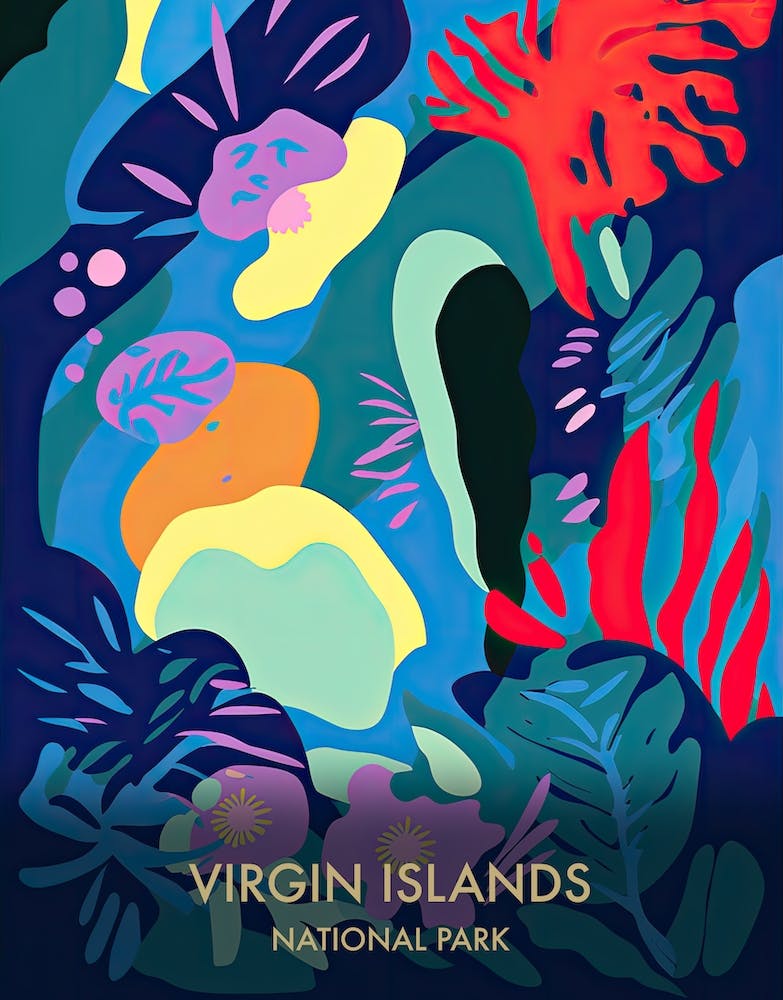Virgin Islands National Park Affiche de voyage Style Matisse 2