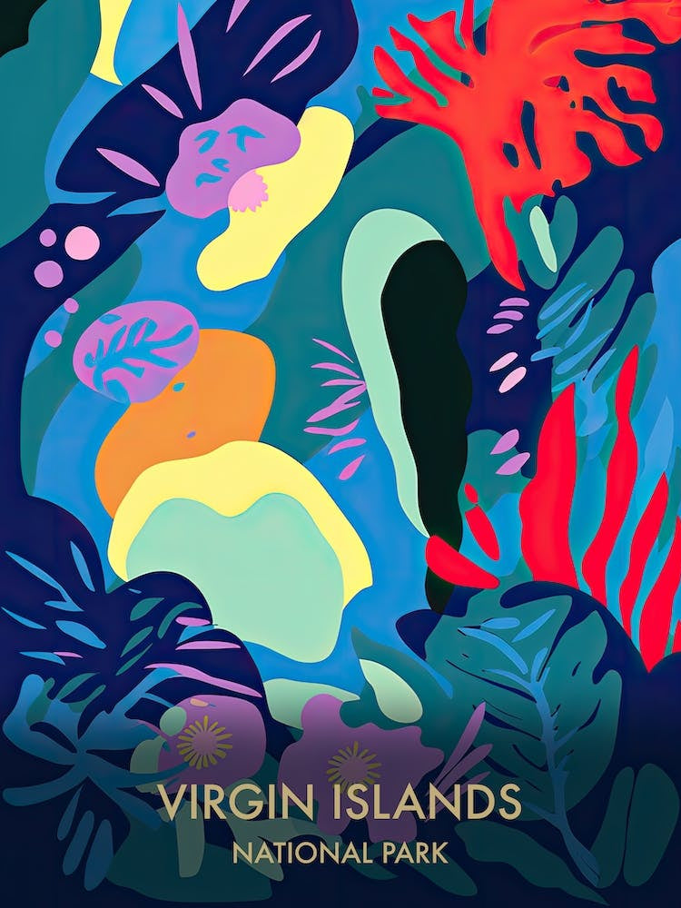 Virgin Islands National Park Travel Poster Matisse Style 2