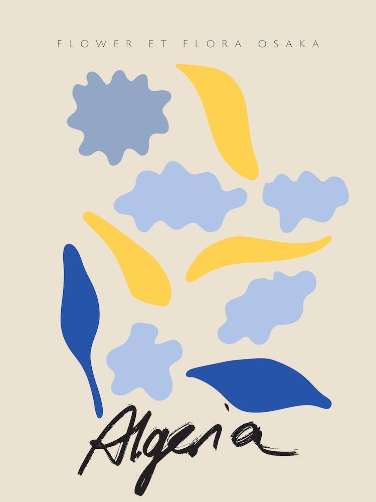 Flower Et Flora Algeria