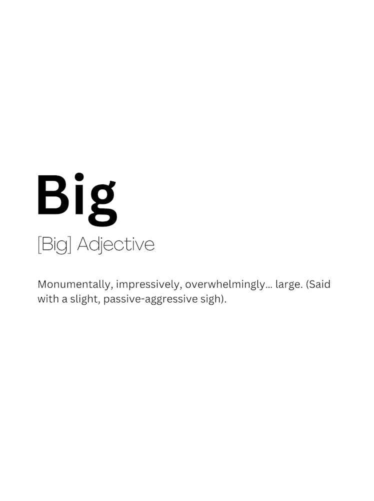 Big Definition Meaning