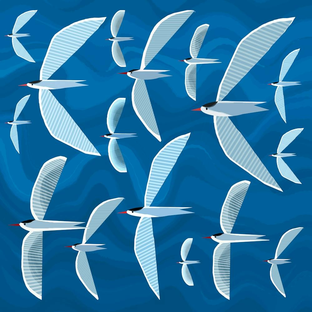 Flock of Seagulls 1