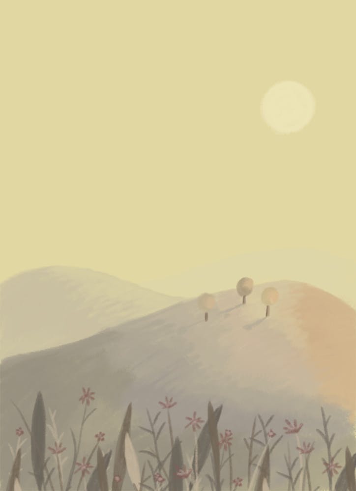 Sunlit Meadow