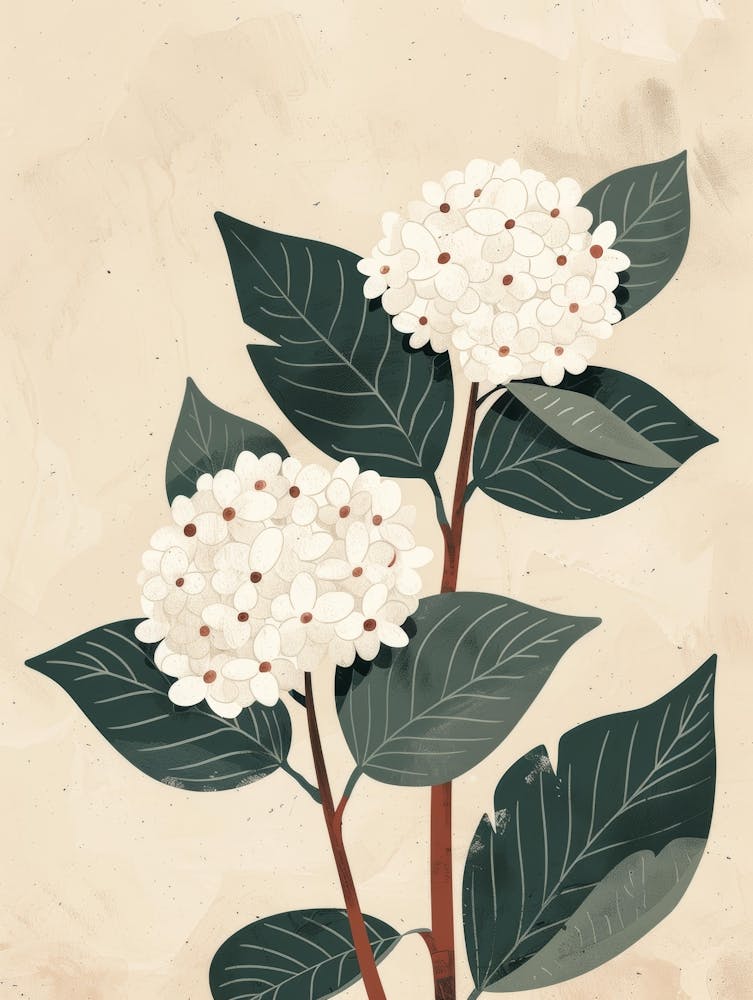 Hydrangea 5