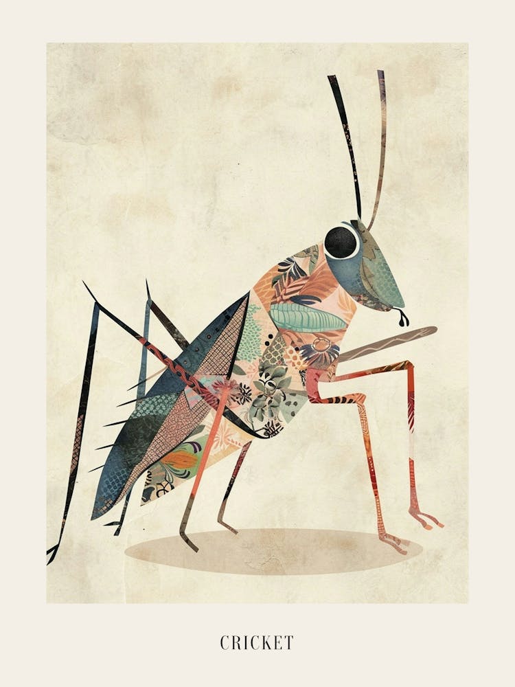 Colourful Insect Illustration Cricket 17 Poster