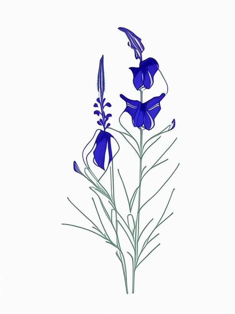 Larkspur Floral Minimal Line Drawing 4 Flower