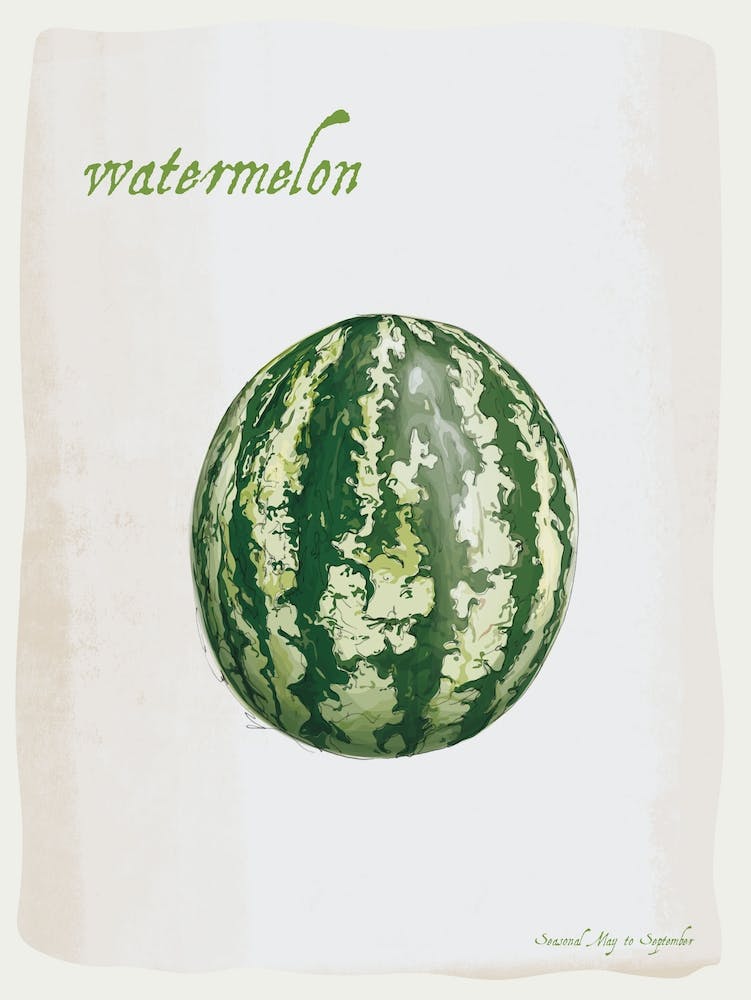 Watermelon Vintage illustration Print