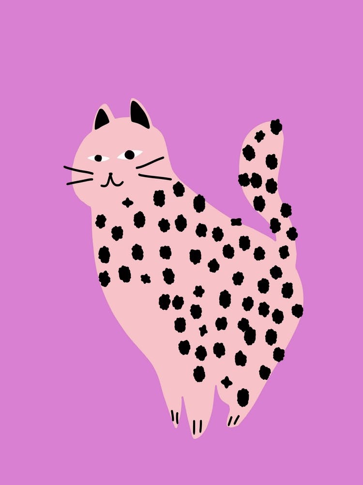 Cute Pink Cat