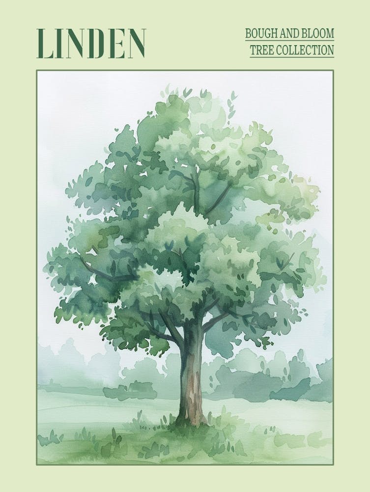 Linden Tree Atmospheric Watercolour Painting 4 Poster