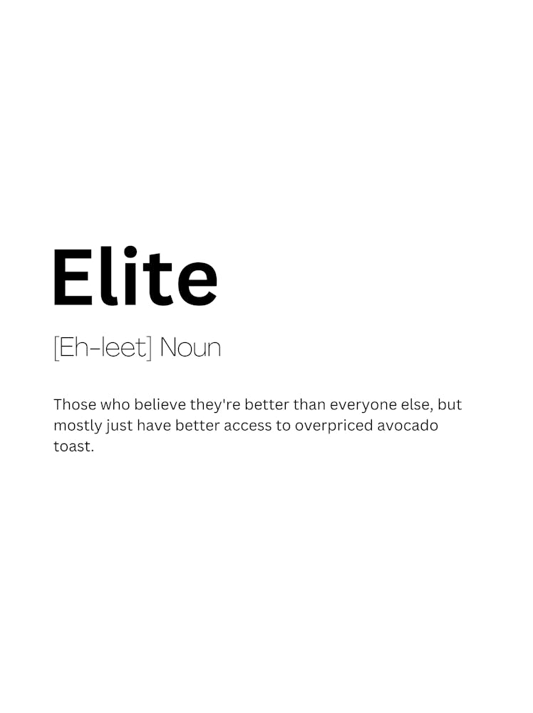 Elite Definition Meaning 1