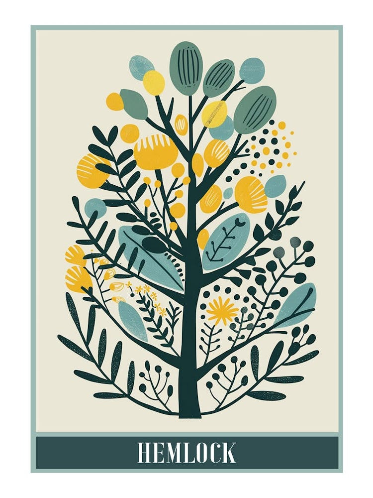 Hemlock Tree Flat Illustration 2 Poster
