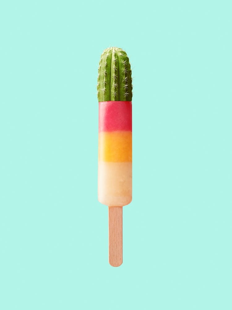 Kaktus-Eis Art Print by Jonas Loose – Fy!