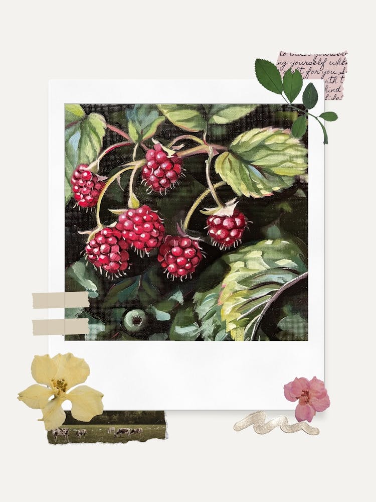 Scrapbook Raspberries Fairycore Painting 3