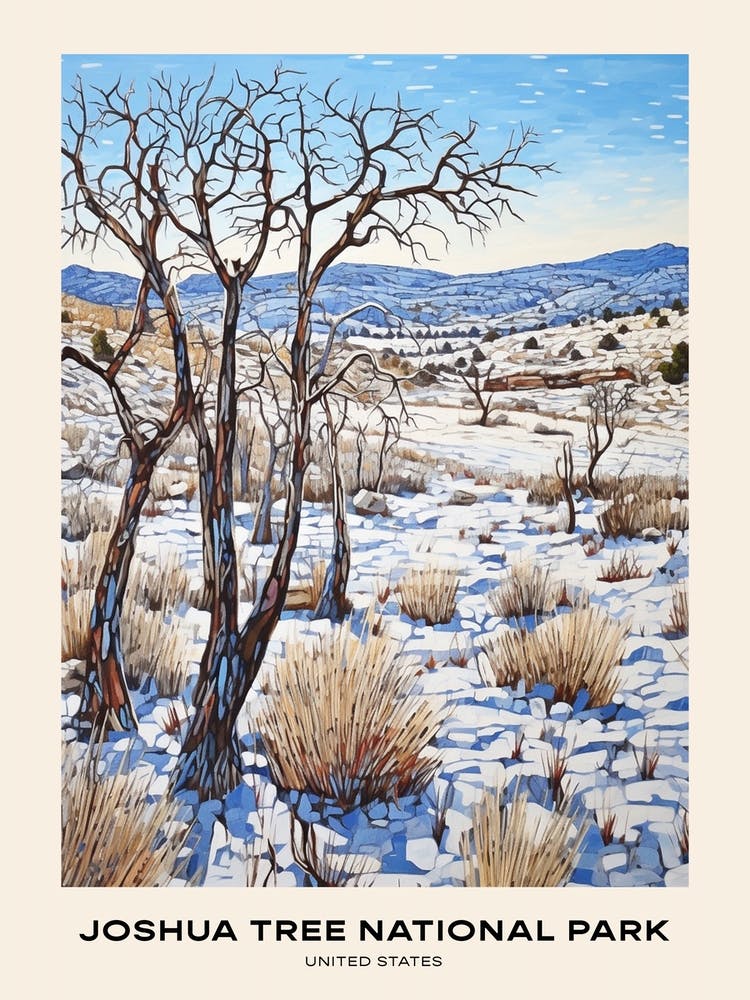 Joshua Tree National Park United States 3 Poster