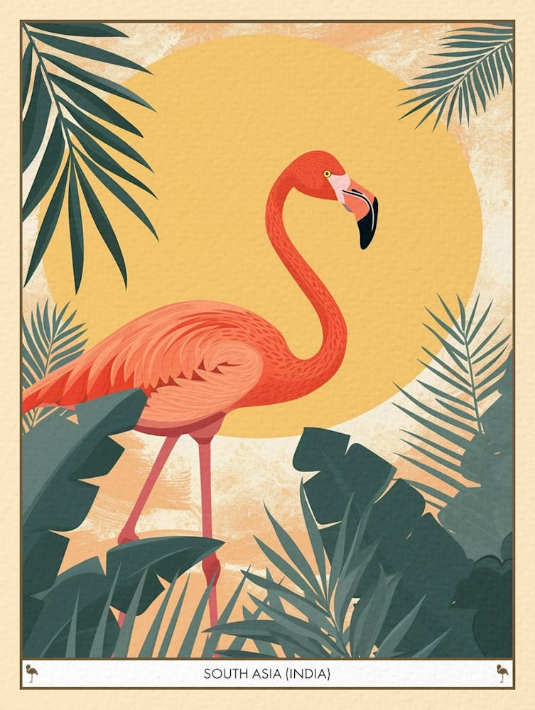 Greater Flamingo South Asia India Tropical Illustration 4 Poster