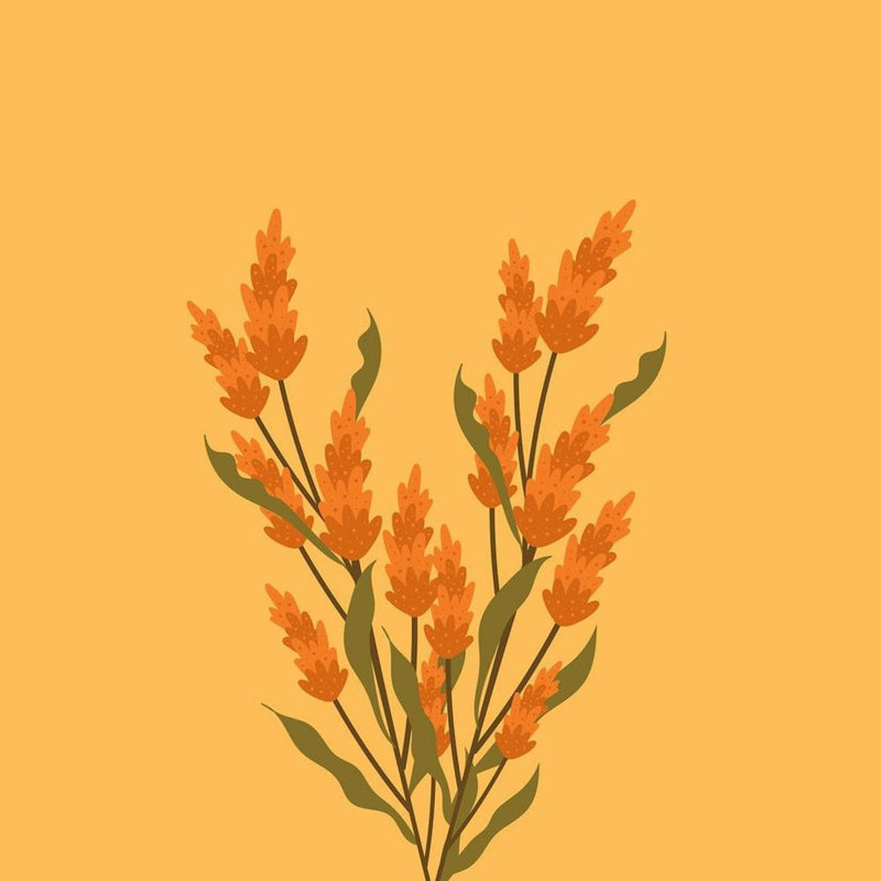 Orange Flowers On A Yellow Background