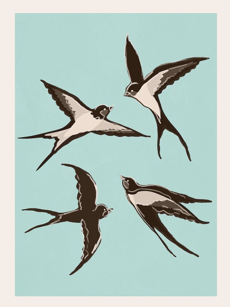 Flying Swallows
