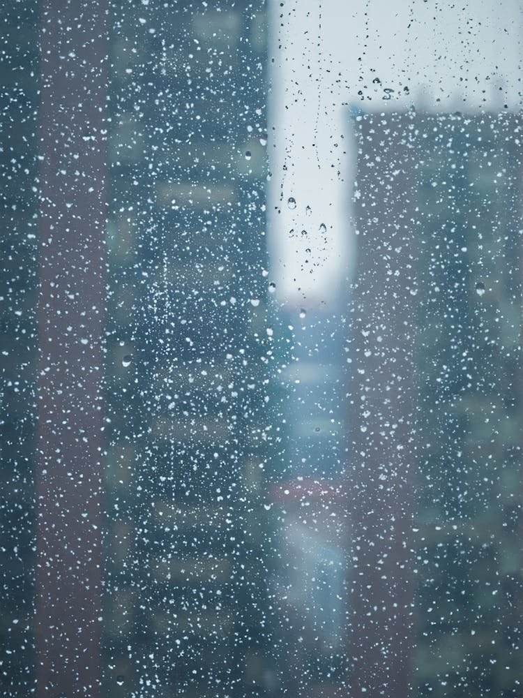 Rainy Window 3