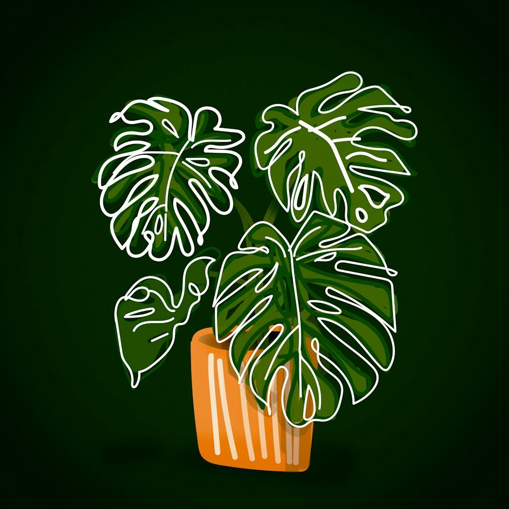 Monstera Plant Tropical Leaves Nature Houseplant Botanical Plant Holes Drawing Floral