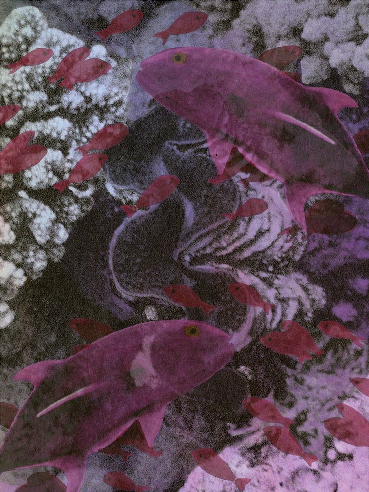 Deep Hue Sea 2