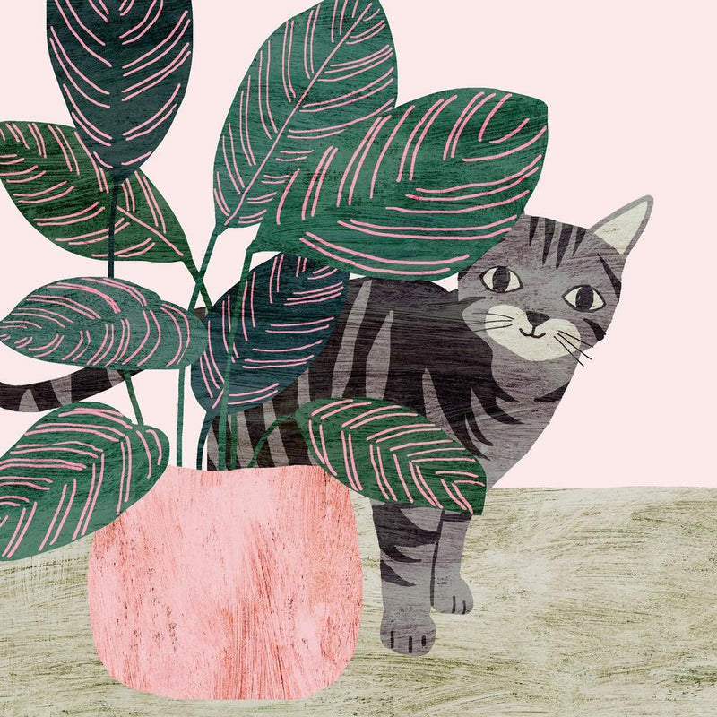 Tabby Cat And Calathea Square