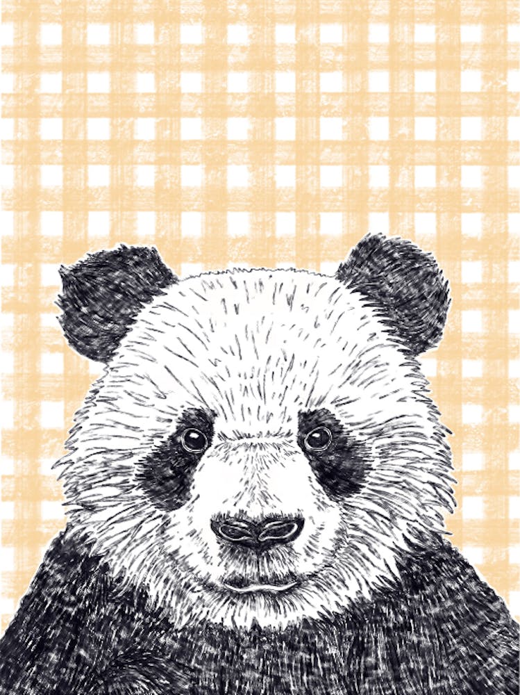 Panda Gingham