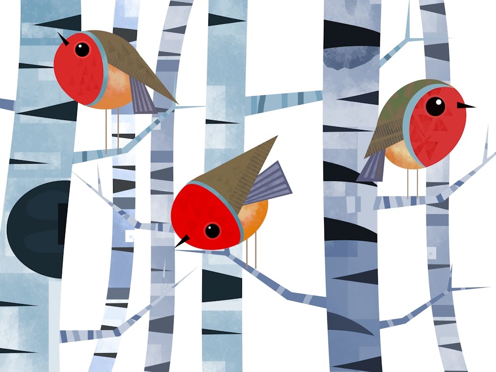 A Rio of Robin Redbreasts