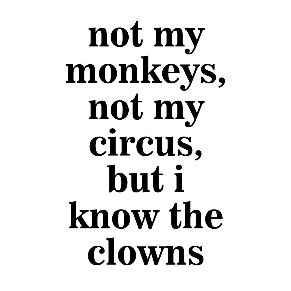 Not My Monkeys II