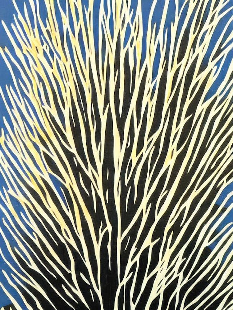 Acropora Tenella Linocut