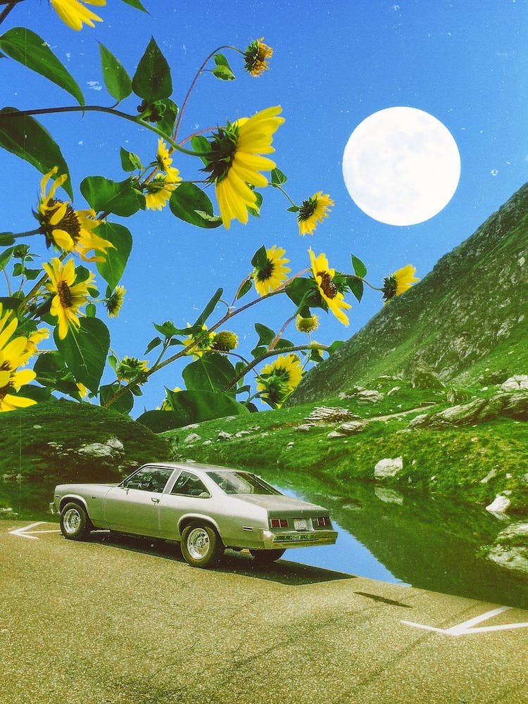 Sunflowerland 2