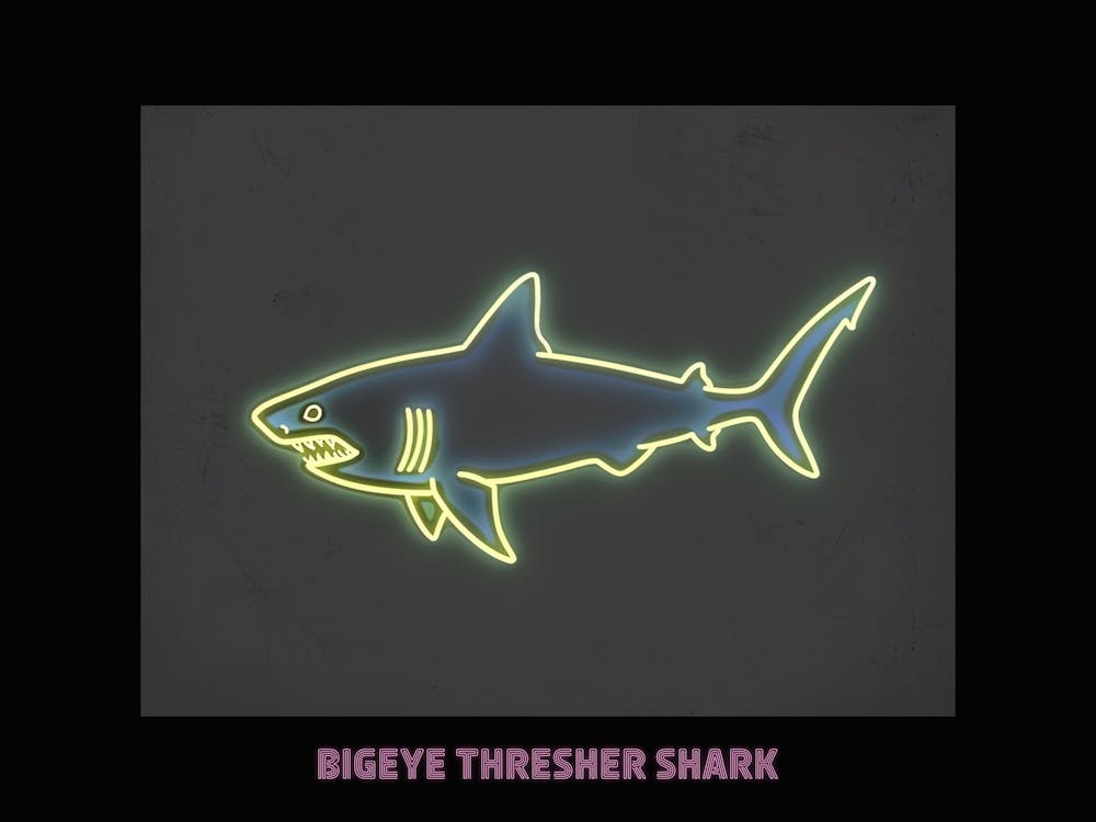 Neon Pink Bigeye Thresher Shark Poster 4