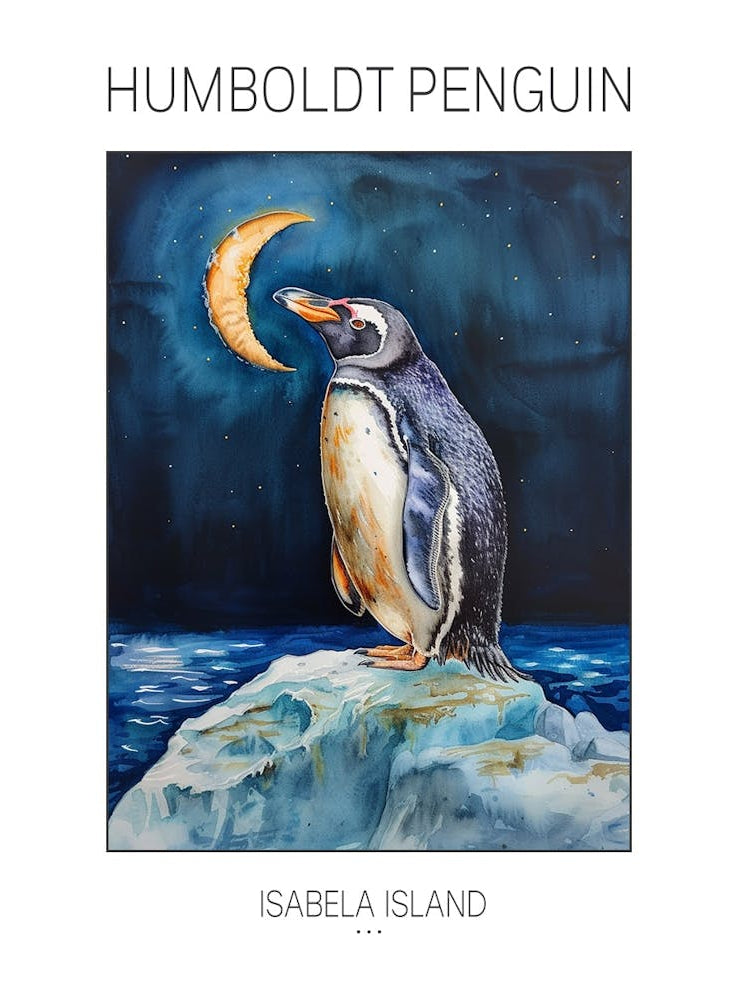 Humboldt Penguin Isabela Island Watercolour Painting 2 Poster